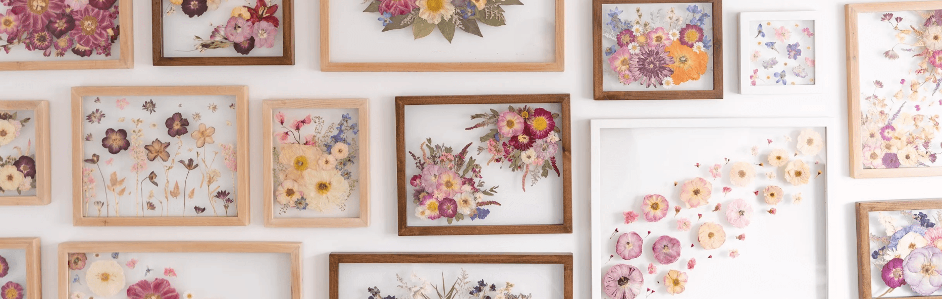 Framed floral preservation pieces by White Poppy Preservation